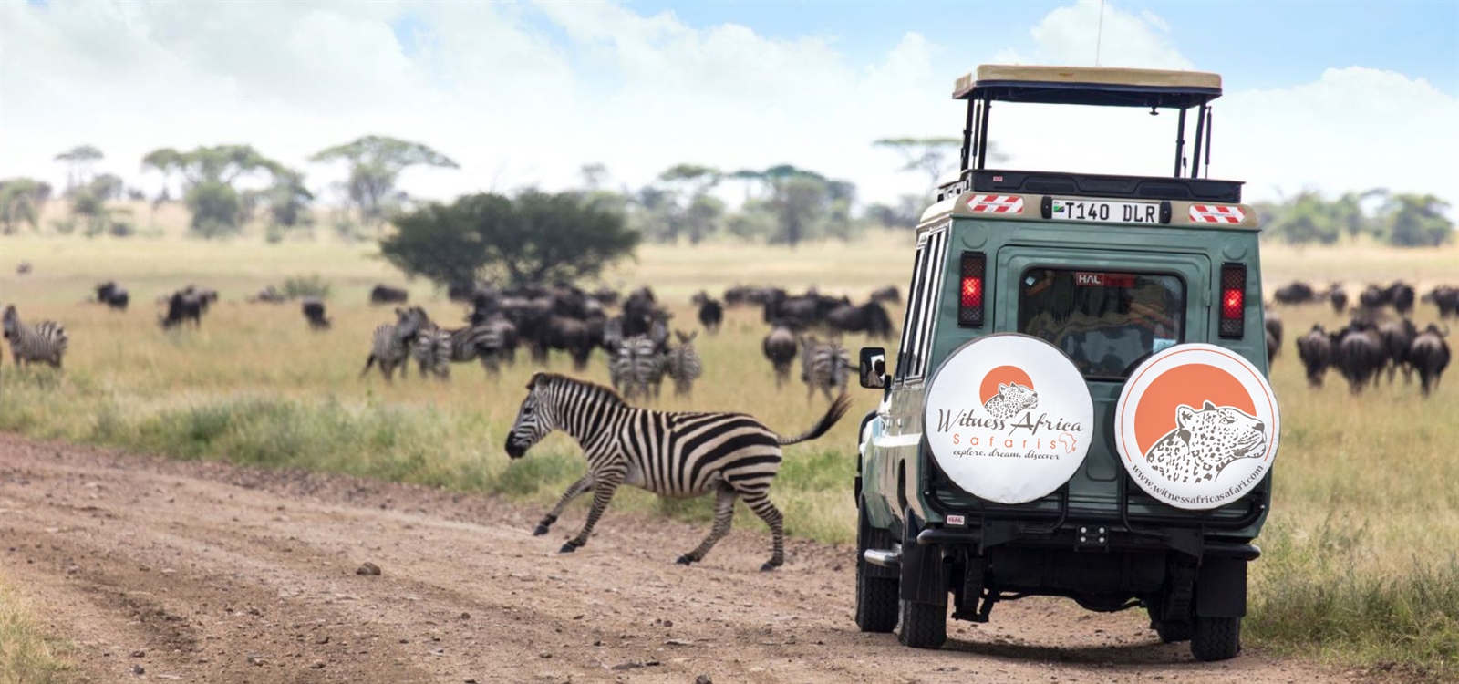 Witnessafricasafaris