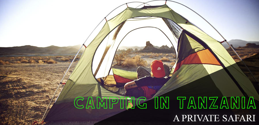 6 DAY CAMPING SAFARI