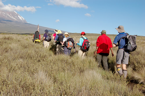 11 Days Combination of mout kilimanjaro machame route and safari