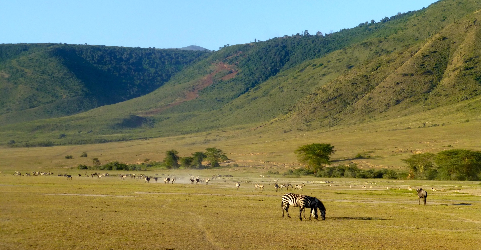 NGORO NGORO DAY TRIP