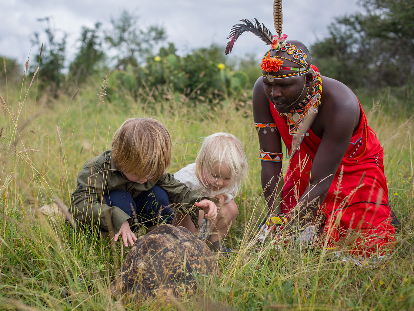 Family safaris