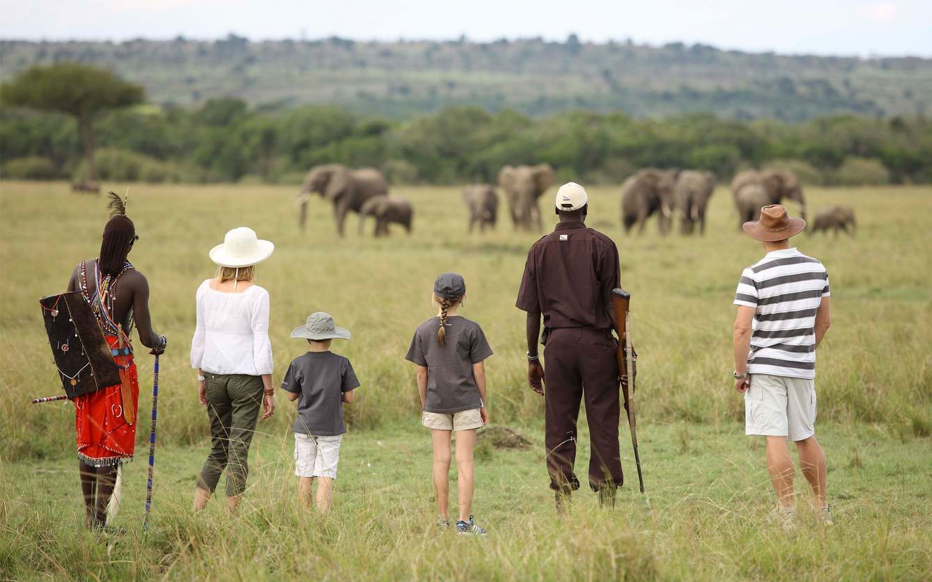 Family safaris