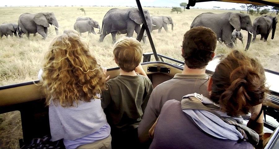 Family safaris