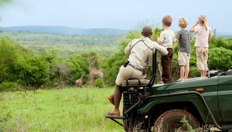 Family safaris