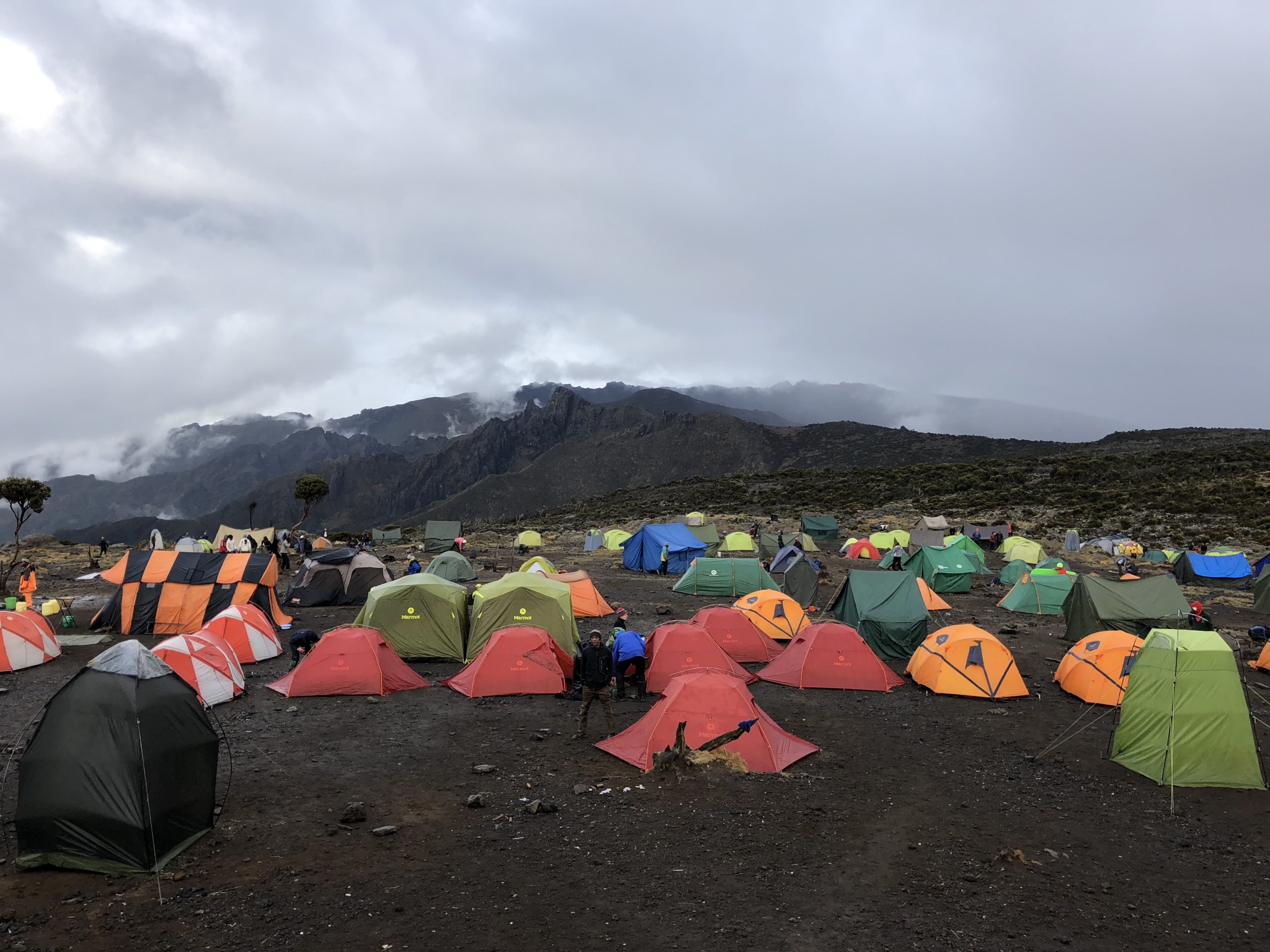 6 DAYS KILIMANJARO SHIRA CLIMBING ROUTE