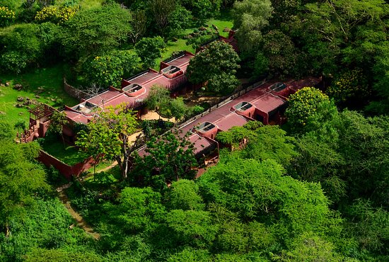 Amboseli serena lodge