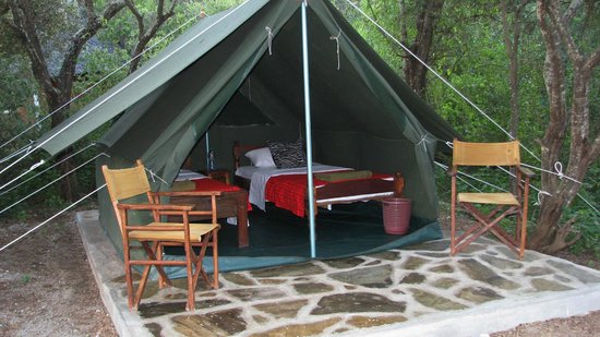 Maasai simba camp