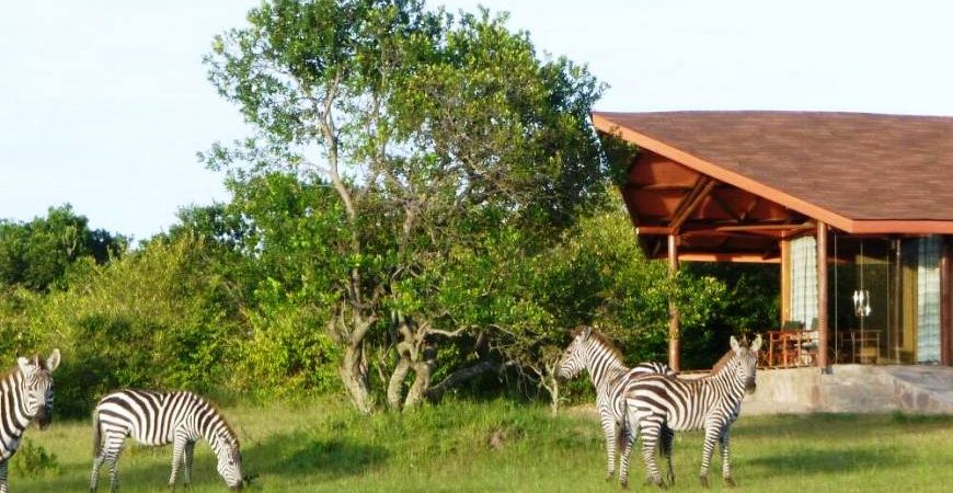 Mara simba lodge