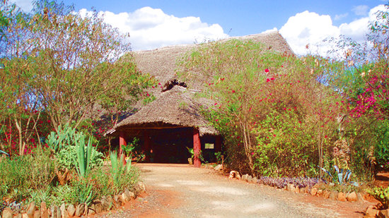 Red elephant safari lodge