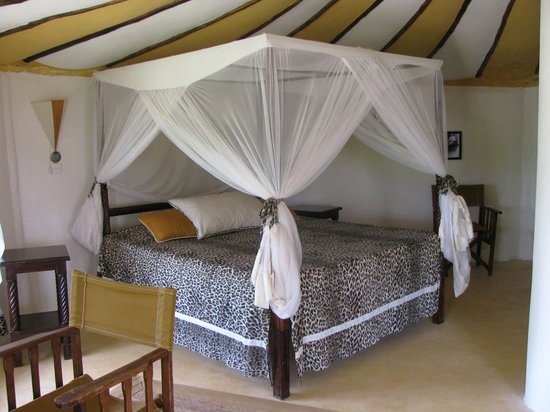 Tsavo buffalo camp