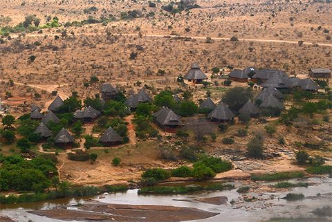 Tsavo buffalo camp