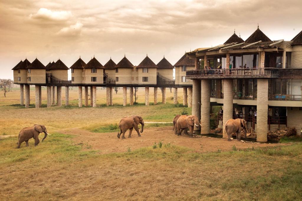 Tsavo lodge