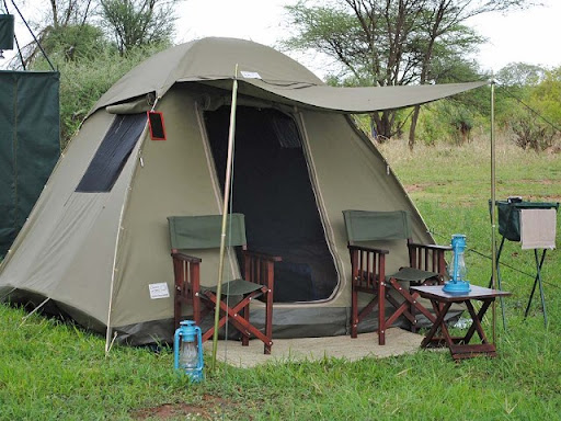 Kenya budget safaris