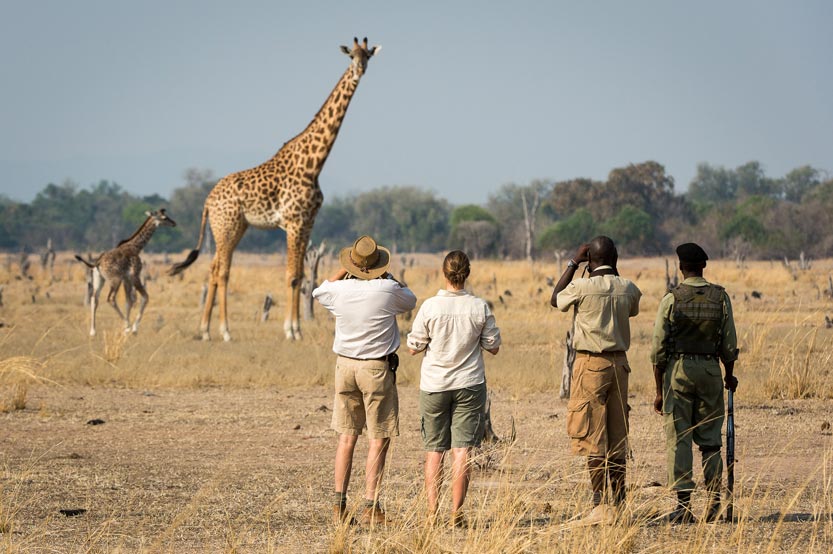 KENYA CLASSIC SAFARIS