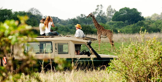 1 Day from nairobi private nairobi national park tour