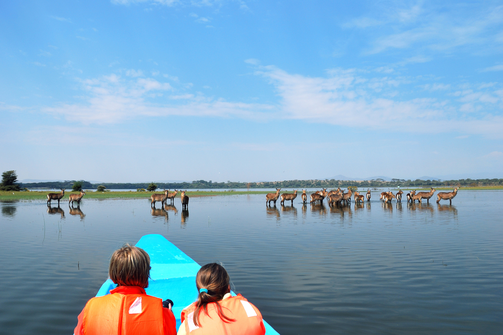 1 Day lake naivasha