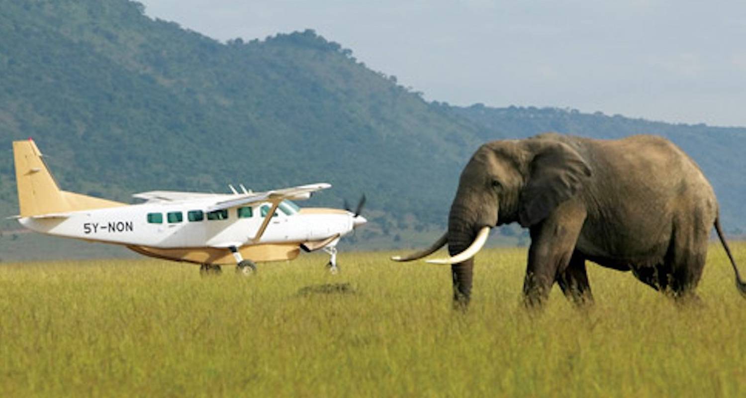 4 Days Luxury Masai Mara Fly in Safari