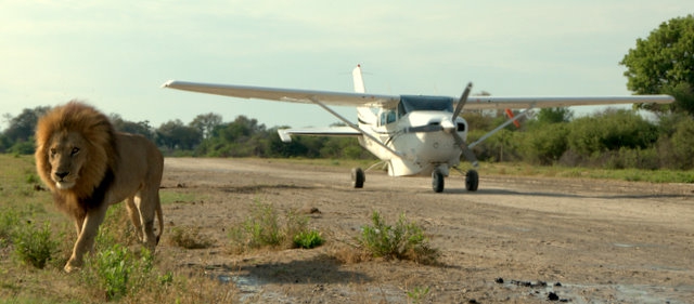 8 Days kenya air safari