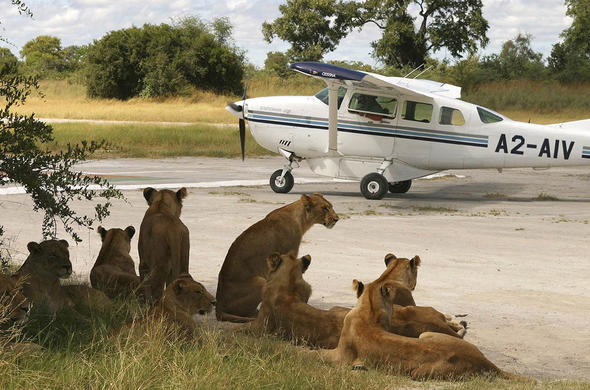 KENYA FLYING SAFARIS