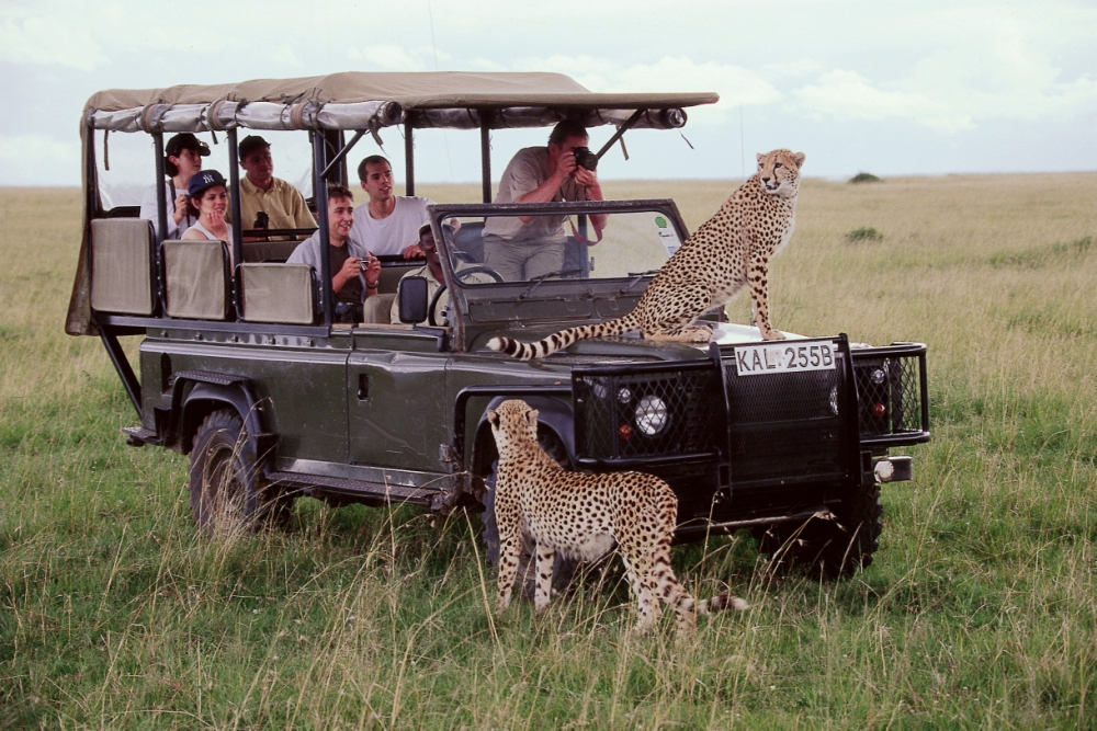 Kenya trek and tours