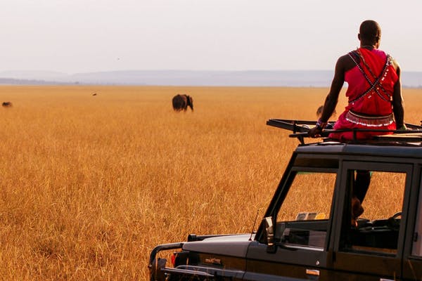 MASAI MARA SAFARI