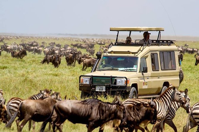 MASAI MARA SAFARI