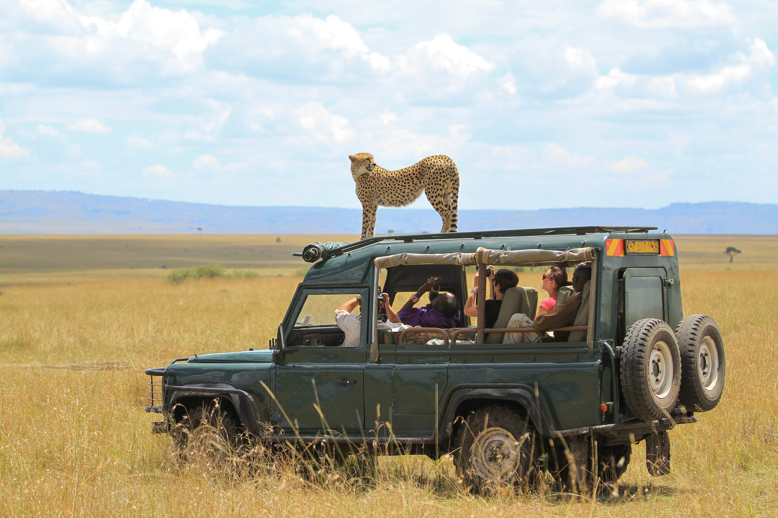 9 Days kenya wildlife photographic safari