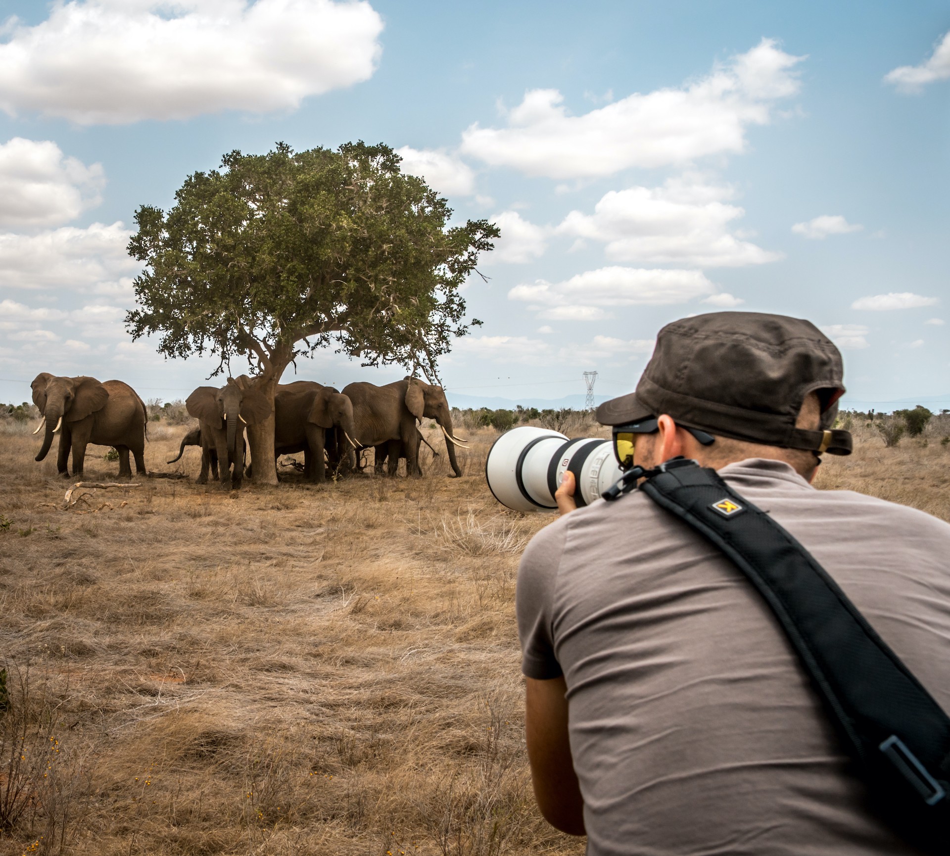 PHOTOGRAPHIC SAFARIS