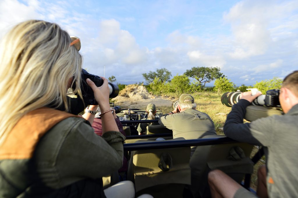 10 Days wildlife migration photography safari