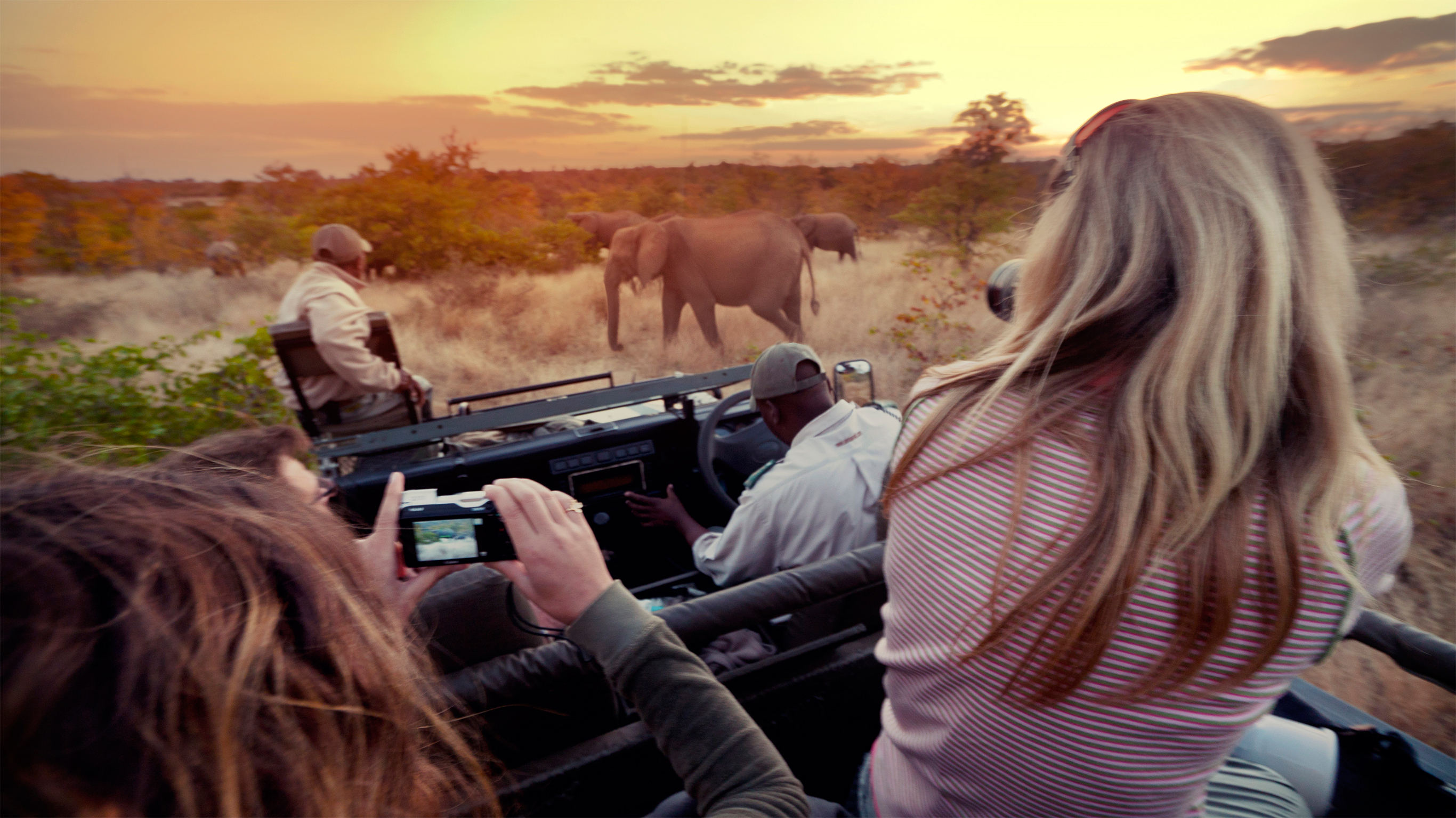 PHOTOGRAPHIC SAFARIS