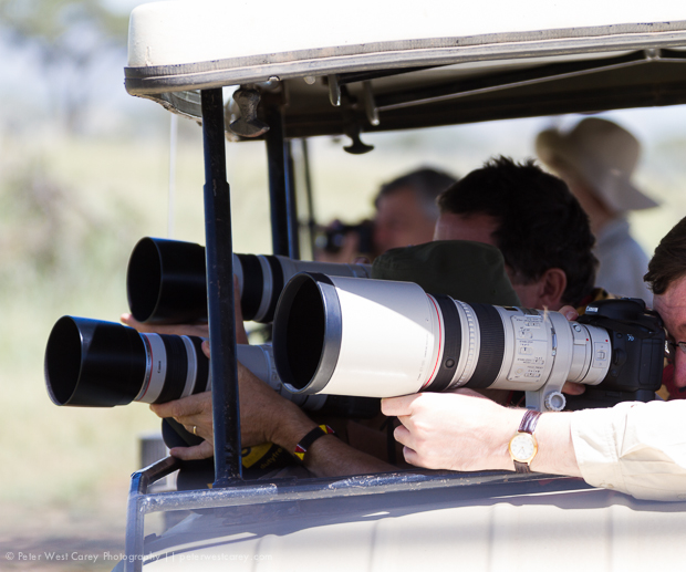 PHOTOGRAPHIC SAFARIS