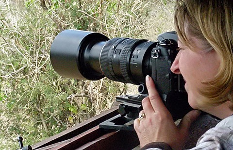 PHOTOGRAPHIC SAFARIS