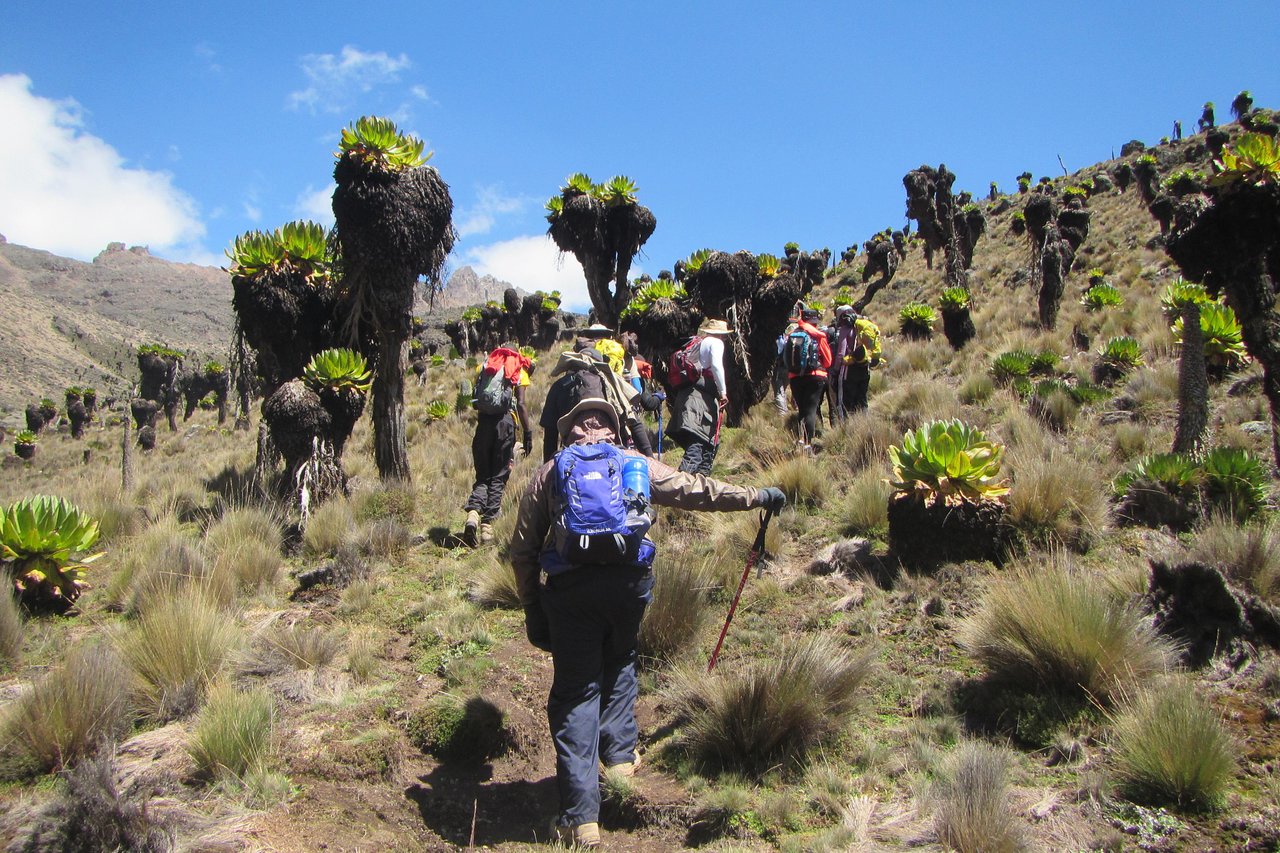 TREKKING SAFARI KENYA