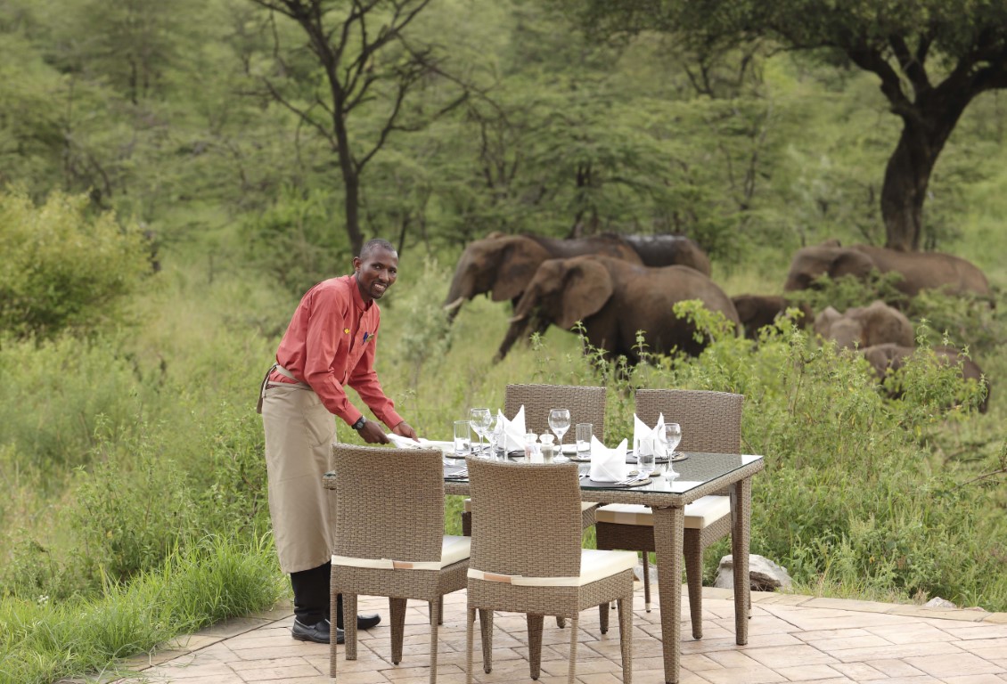 About kenya safaris