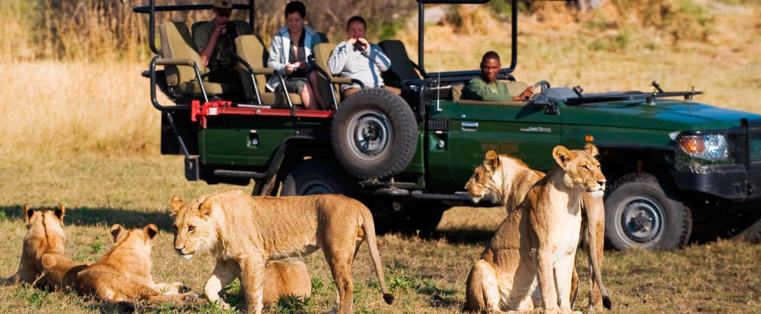 10 Days combined Kenya and tanzania safari