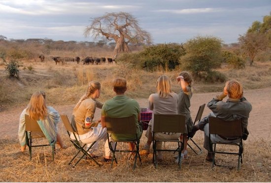 VIP SAFARIS