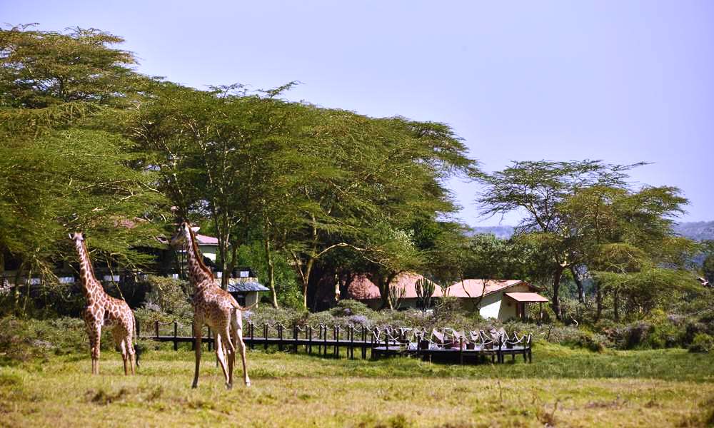 ARUSHA NATIONAL PARK ACCOMODATION