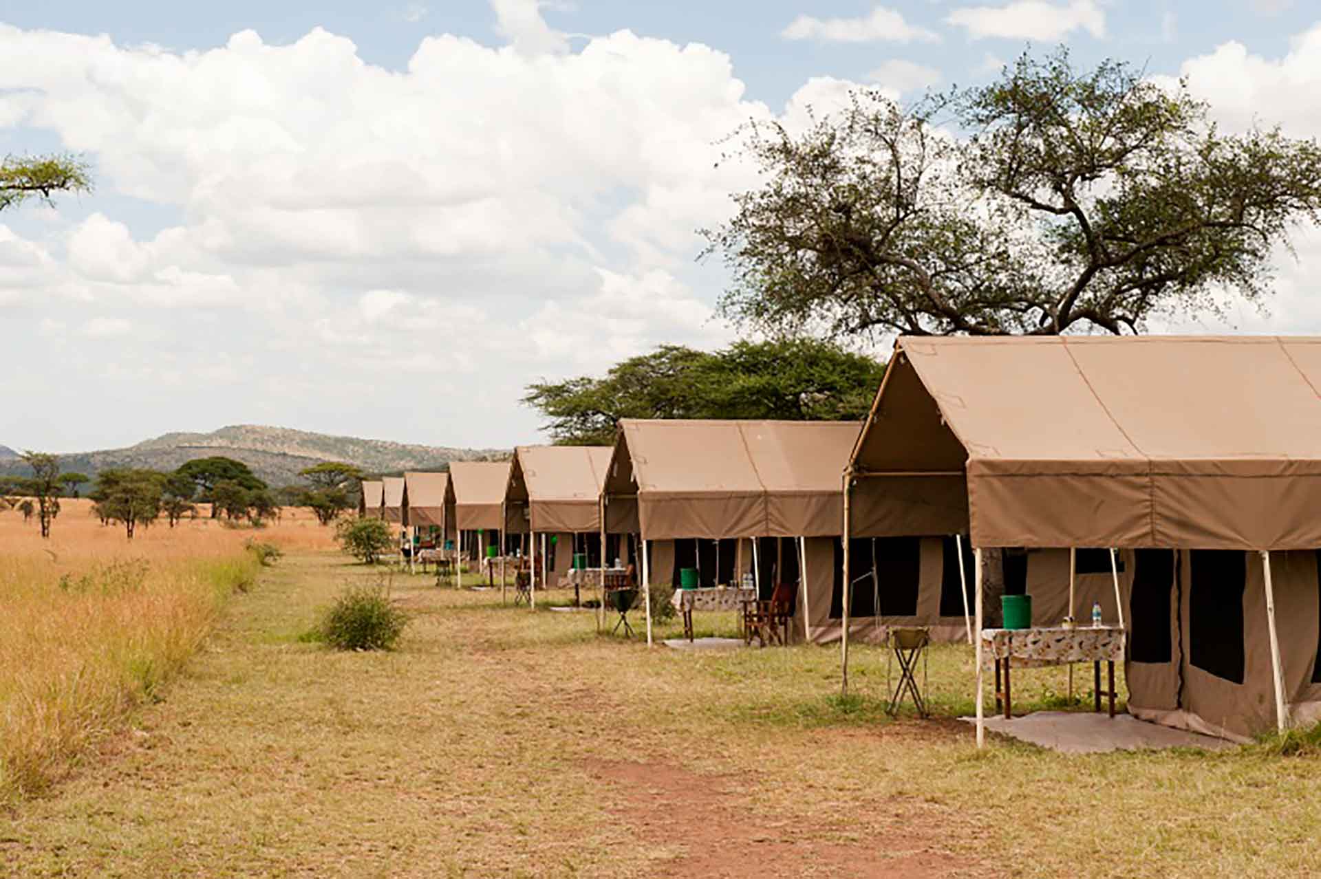 Serengeti kati kati camp