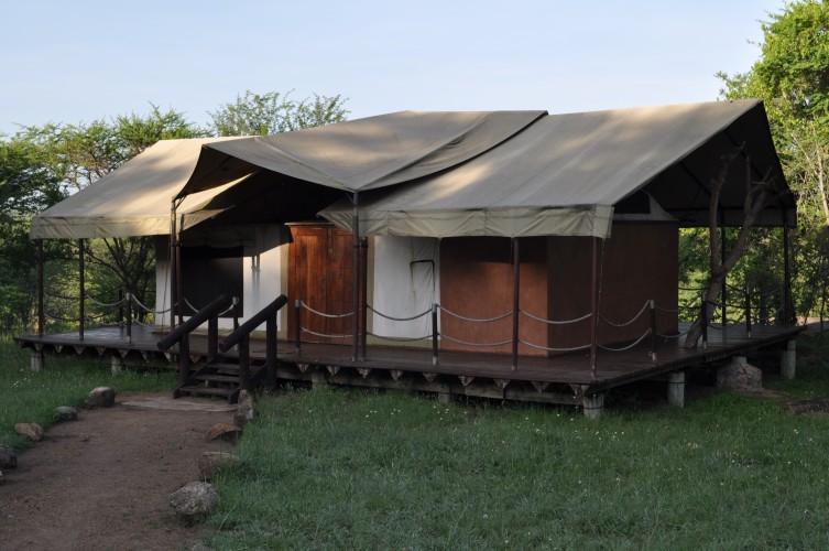 Serengeti migration camp