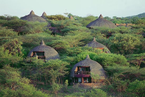 Serengeti serena safari lodge