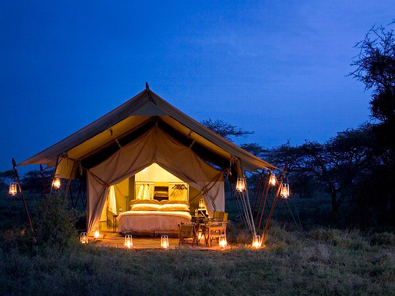 Serengeti under canvas