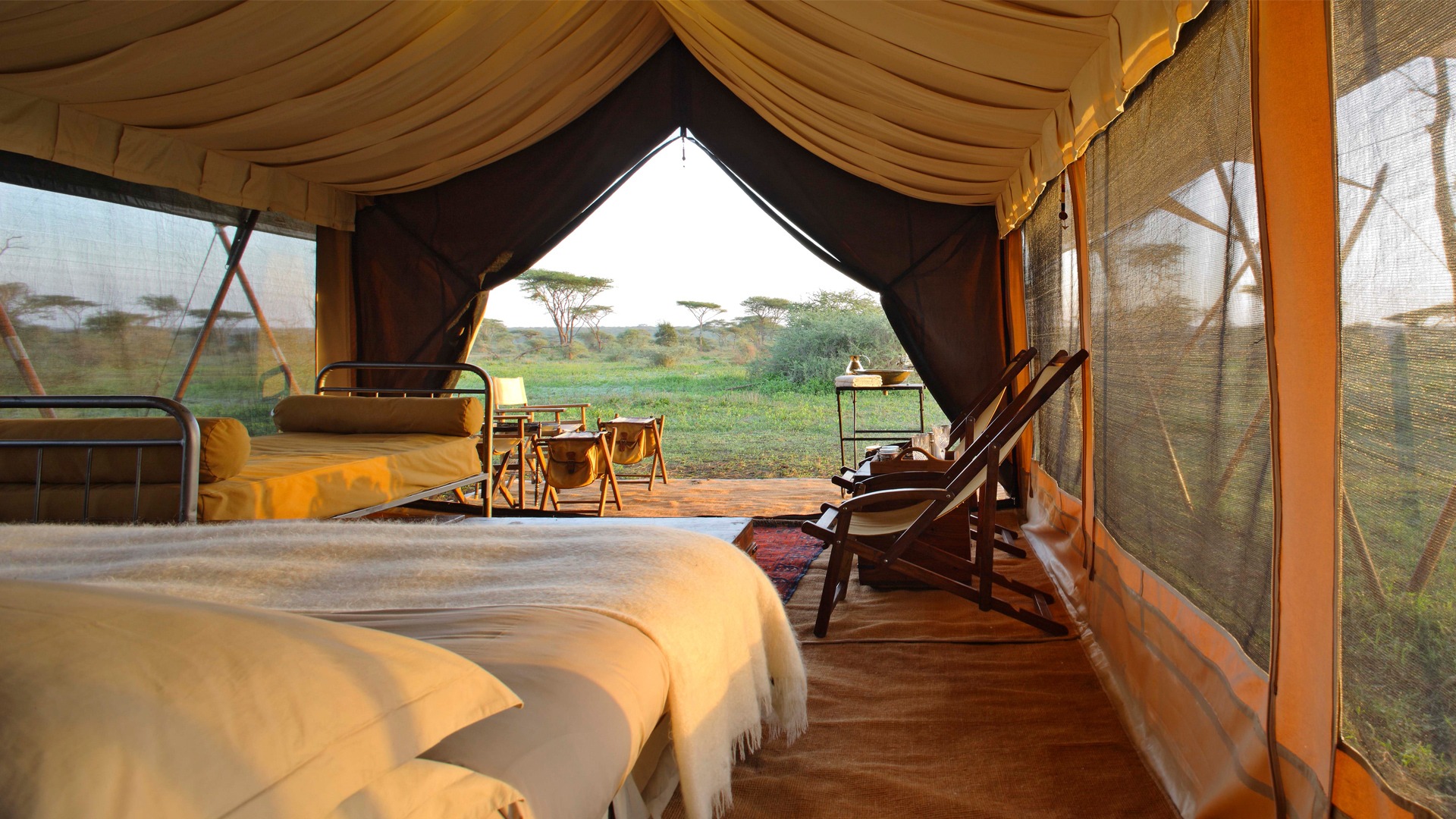 Serengeti under canvas