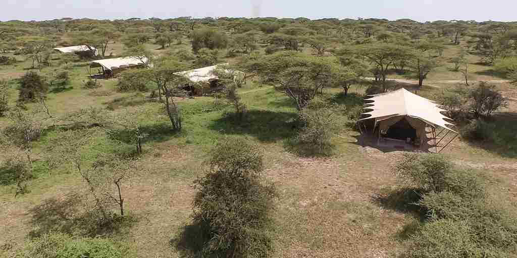 Serengeti under canvas