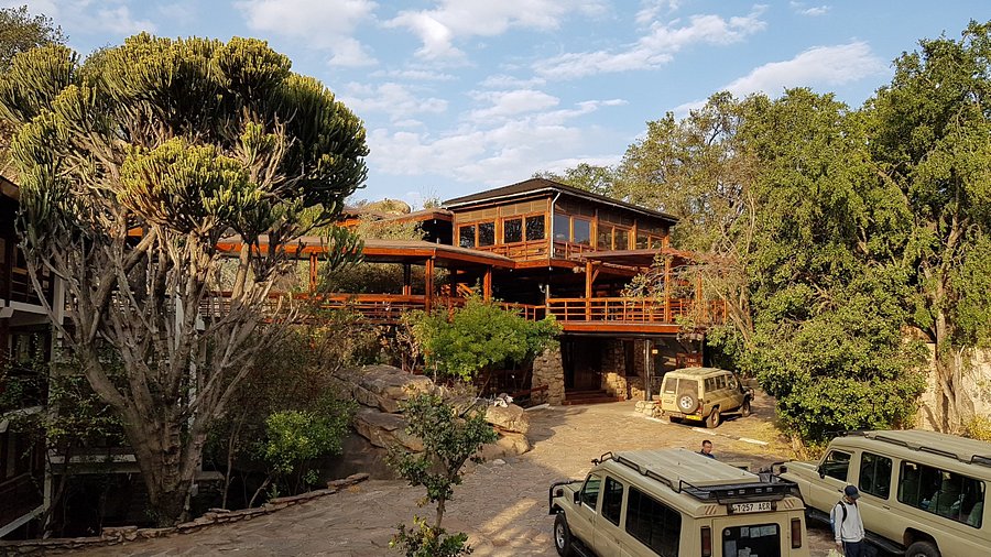 Lobo wildlife lodge