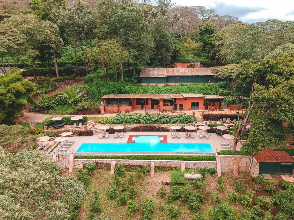 Karatu simba lodge