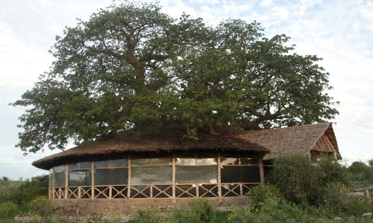 Burudika manyara lodge