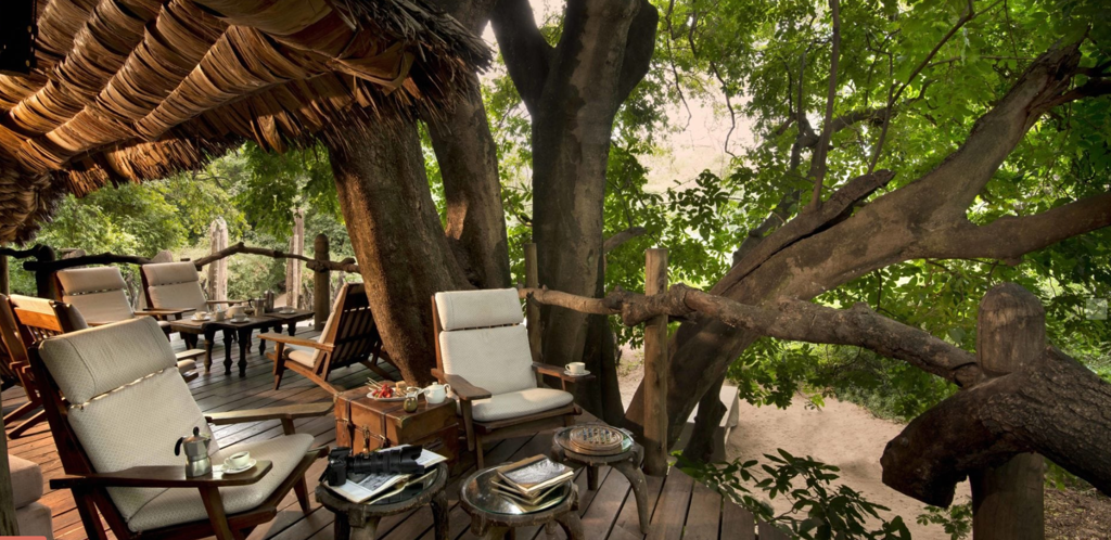 Lake manyara tree lodge