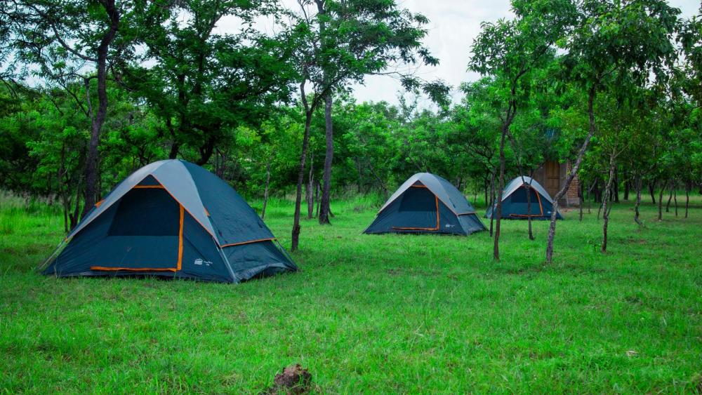 Mantis lodge camping site