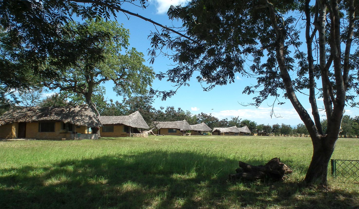 Mikumi wildlife camp