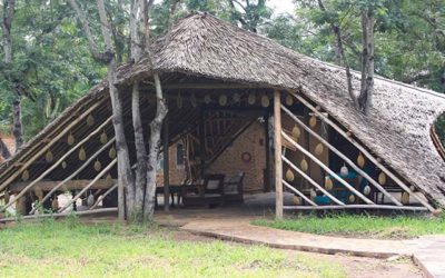 Mikumi wildlife camp